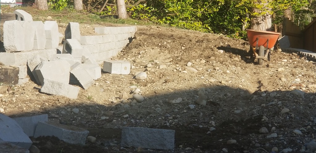project-image